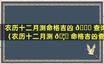 农历十二月测命格吉凶 💐 查询（农历十二月测 🦟 命格吉凶查询大全）